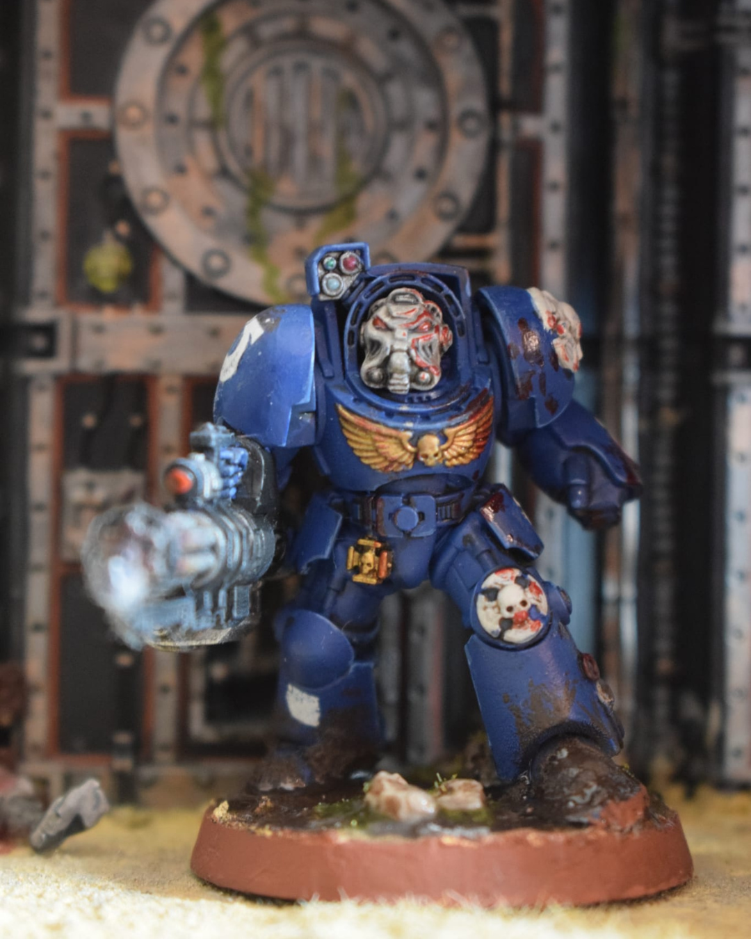 Exterminador Rotatoria - vista 1