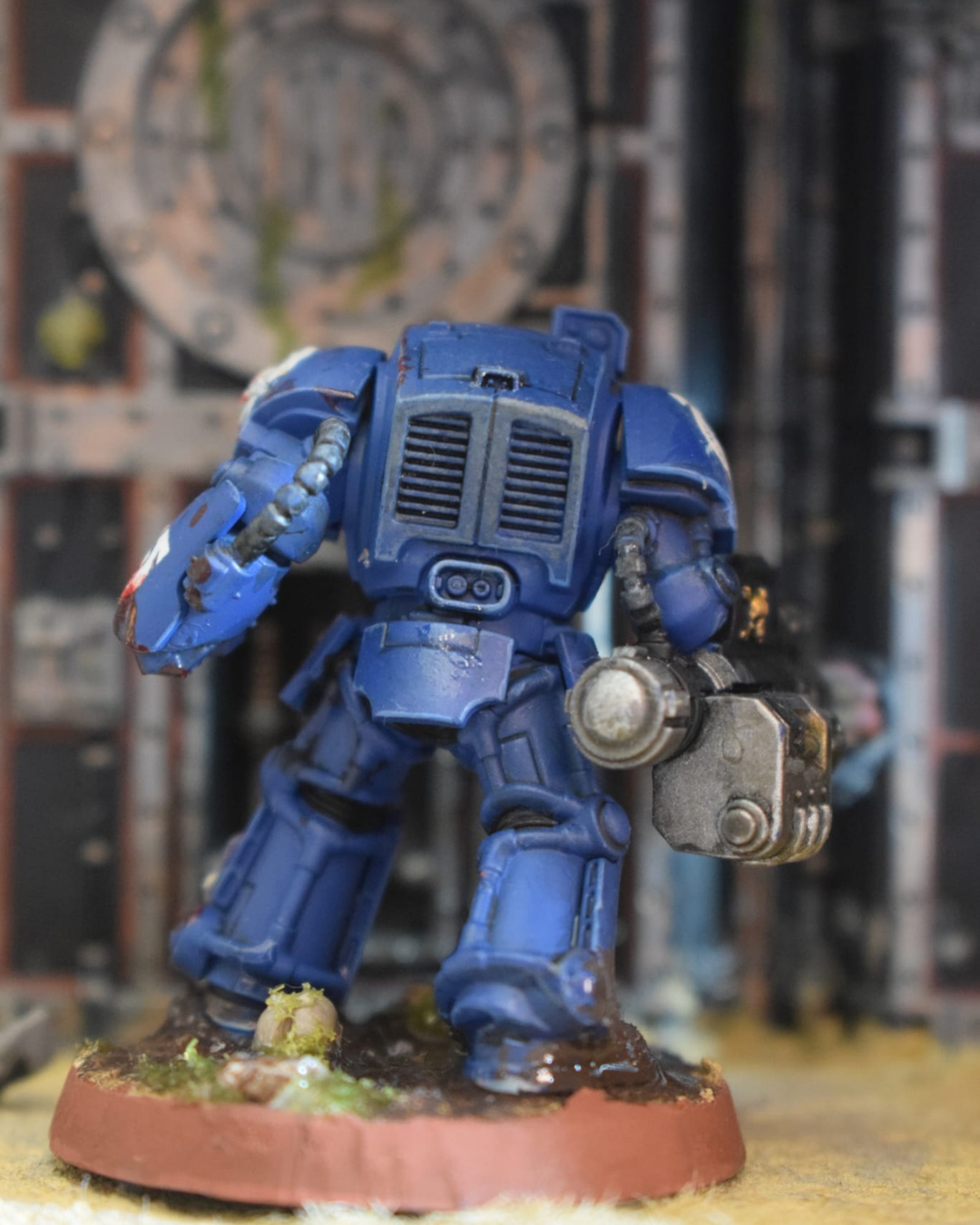 Exterminador Rotatoria - vista 4